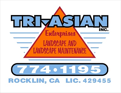 Tri_Asian_